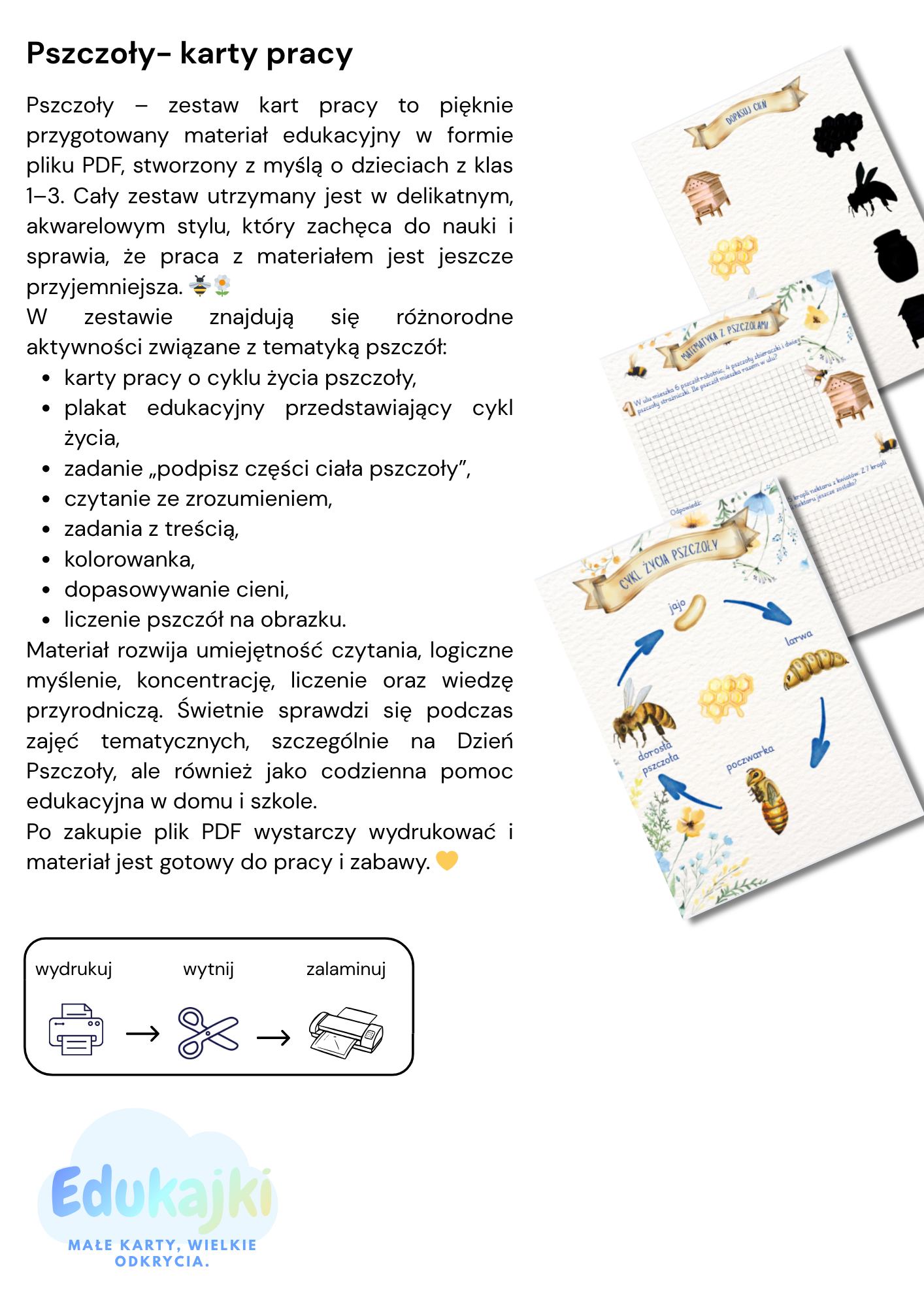 Pszczoły – zestaw kart pracy