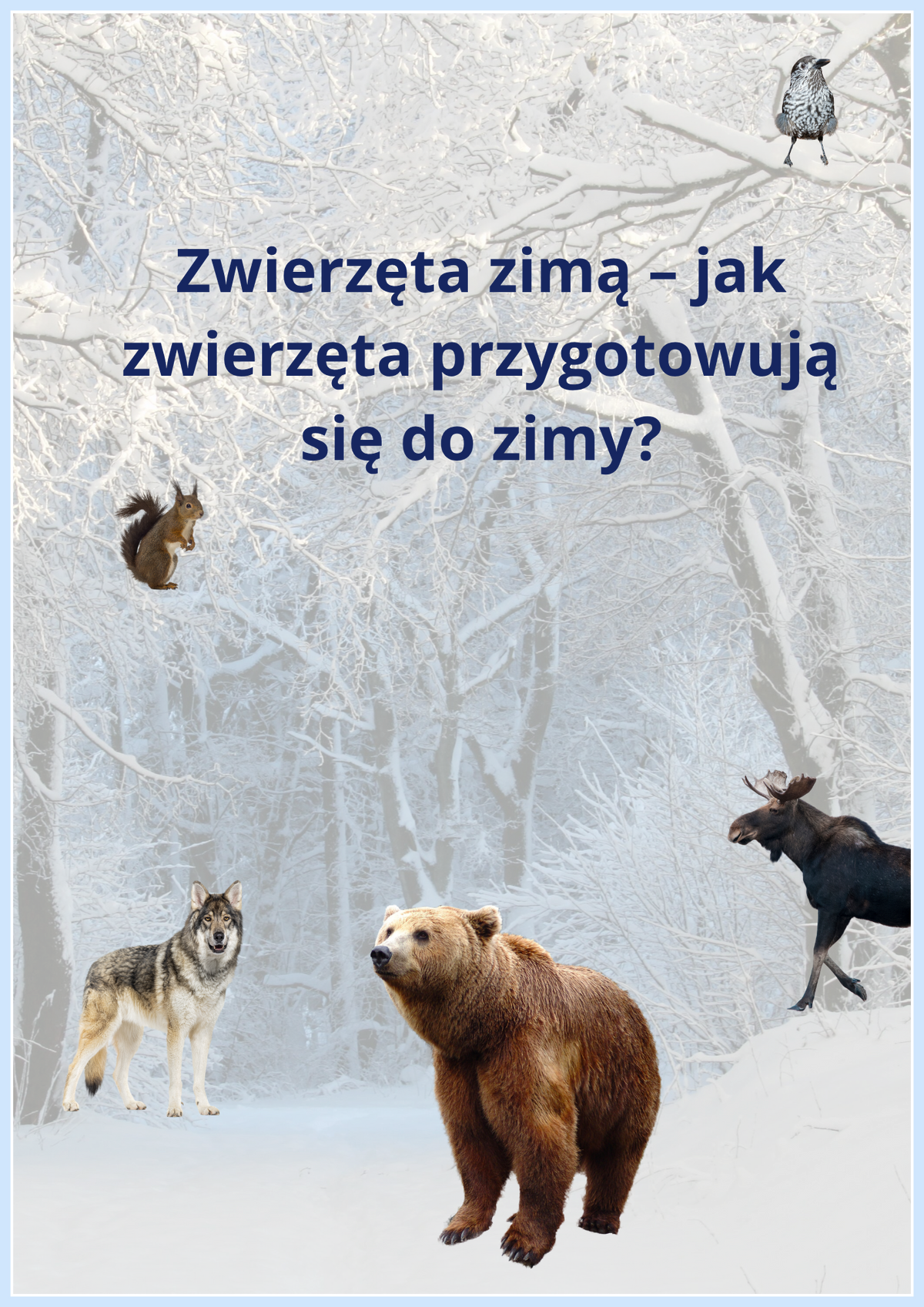🐾 Zwierzęta zimą – jak zwierzęta przygotowują się do zimy? | PDF do druku