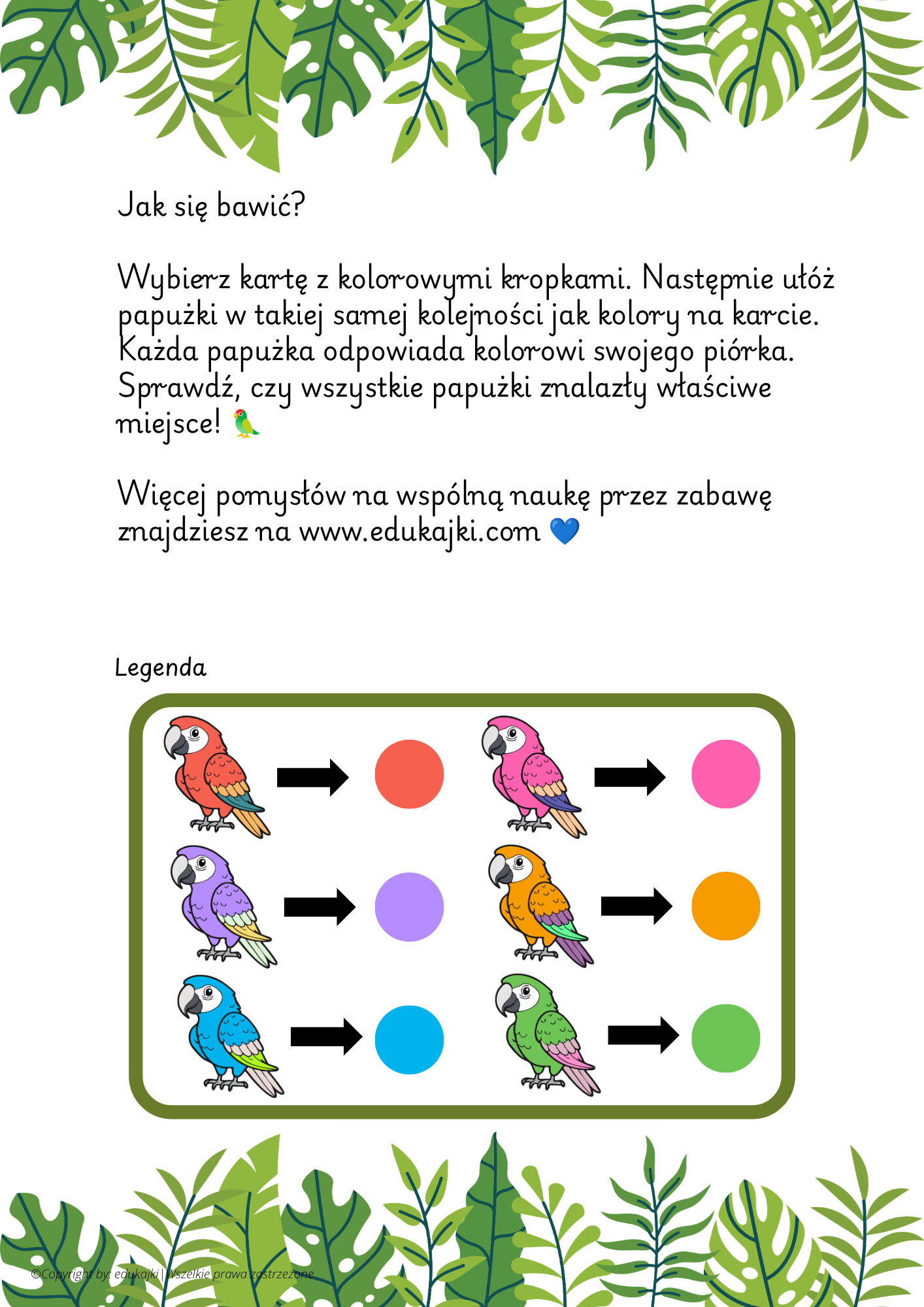 🦜 Papużki nierozłączki – układanie sekwencji