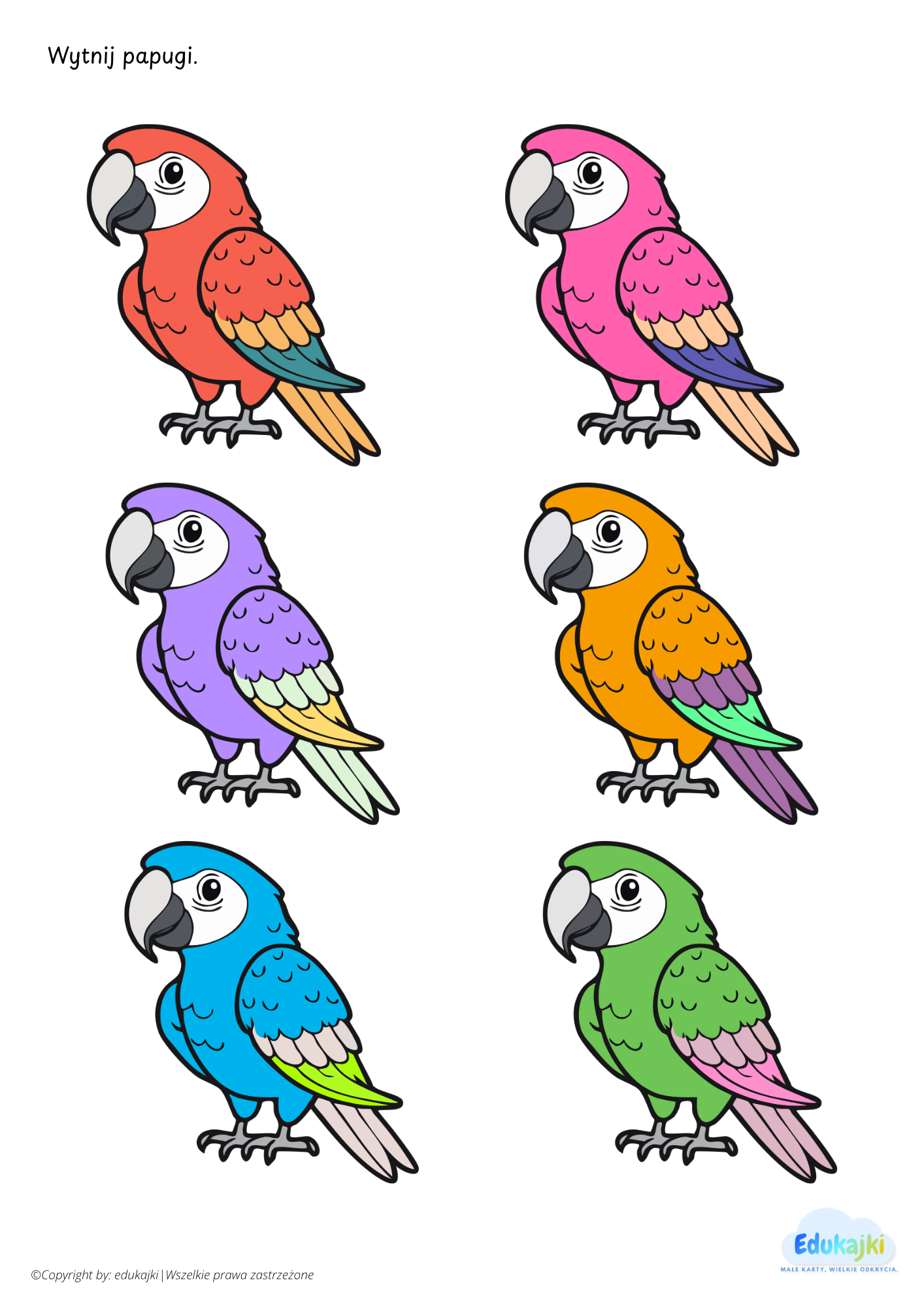 🦜 Papużki nierozłączki – układanie sekwencji