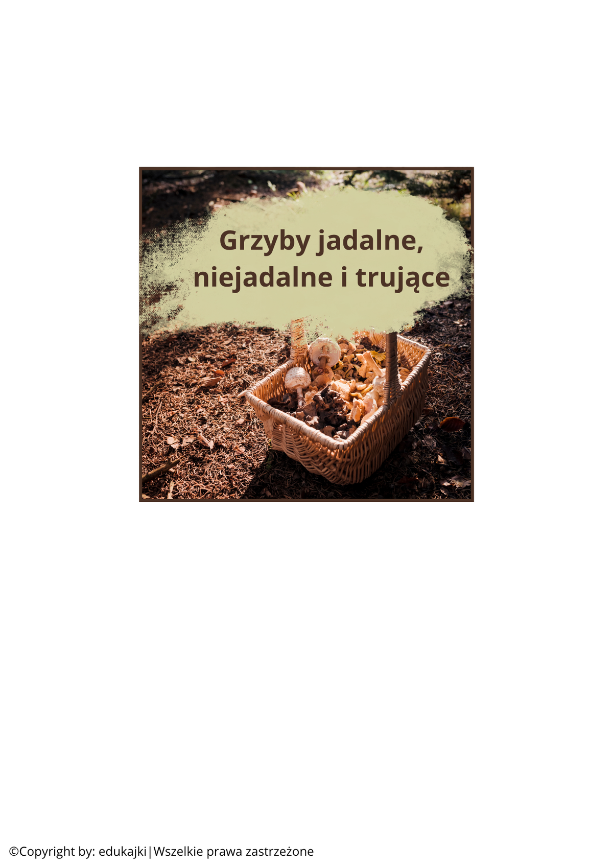 Grzyby jadalne, niejadalne i trujące – karty trójdzielne Montessori | PDF do druku