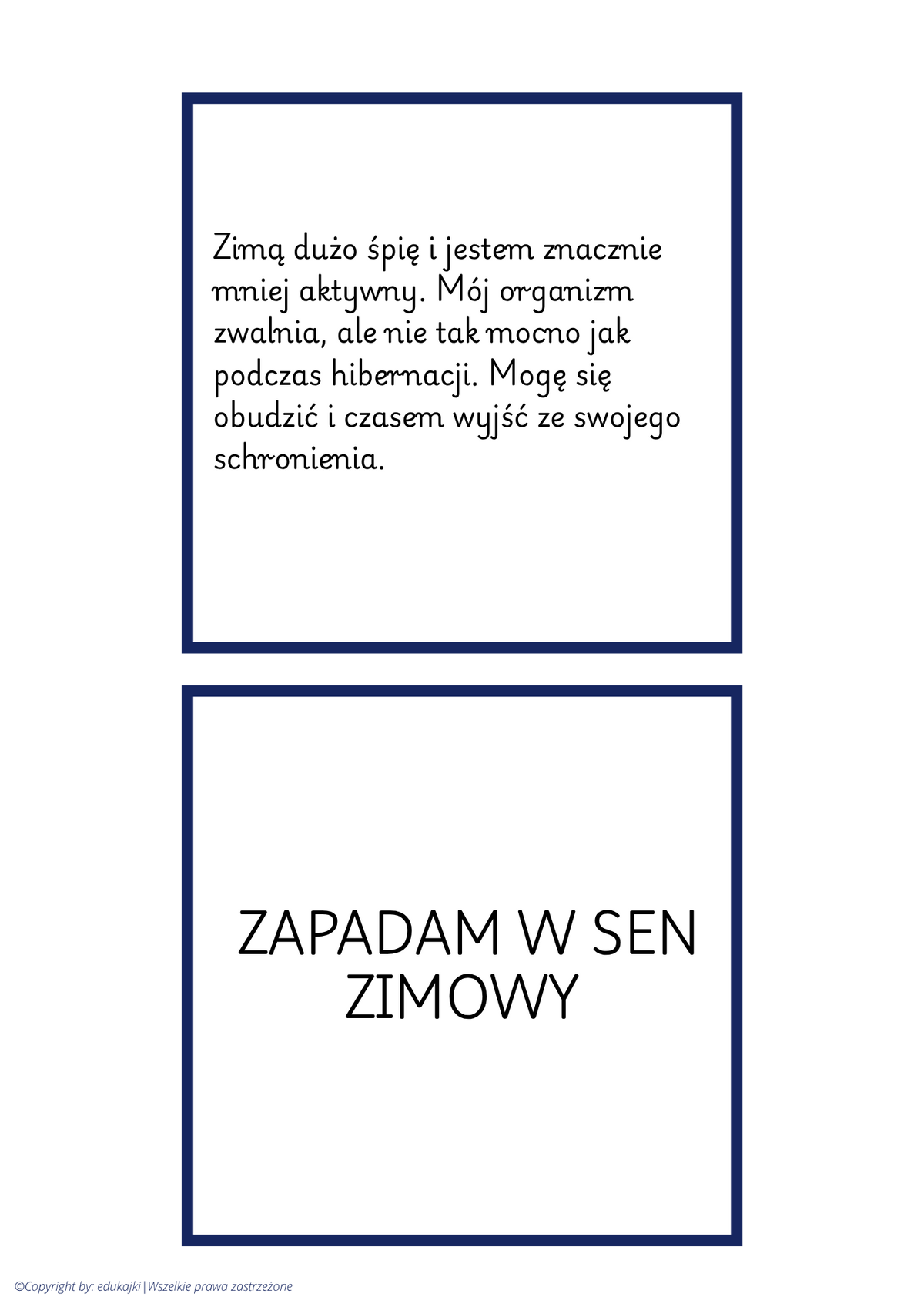 🐾 Zwierzęta zimą – jak zwierzęta przygotowują się do zimy? | PDF do druku