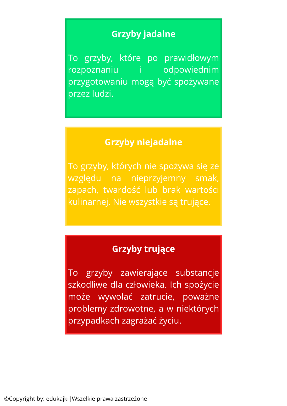 Grzyby jadalne, niejadalne i trujące – karty trójdzielne Montessori | PDF do druku