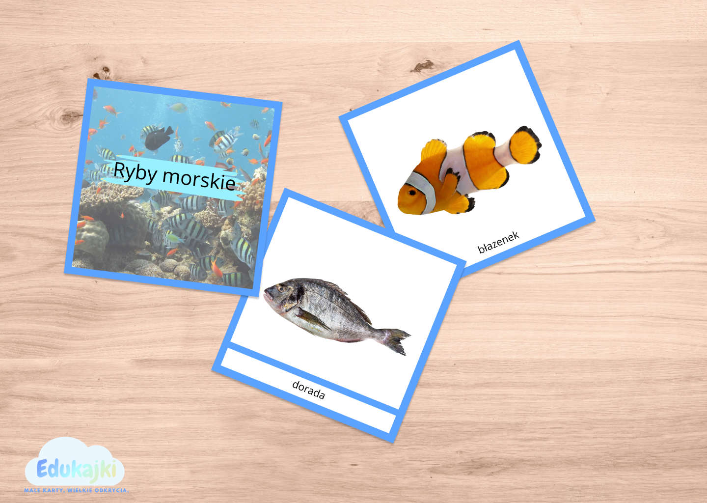 Ryby morskie