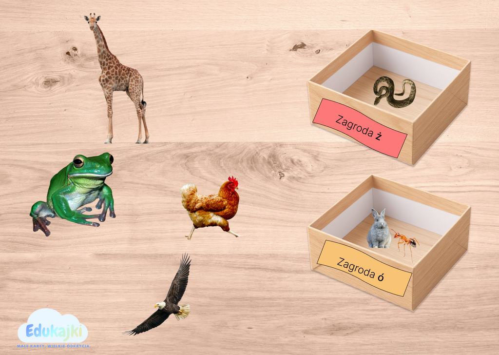 Ortograficzne ZOO