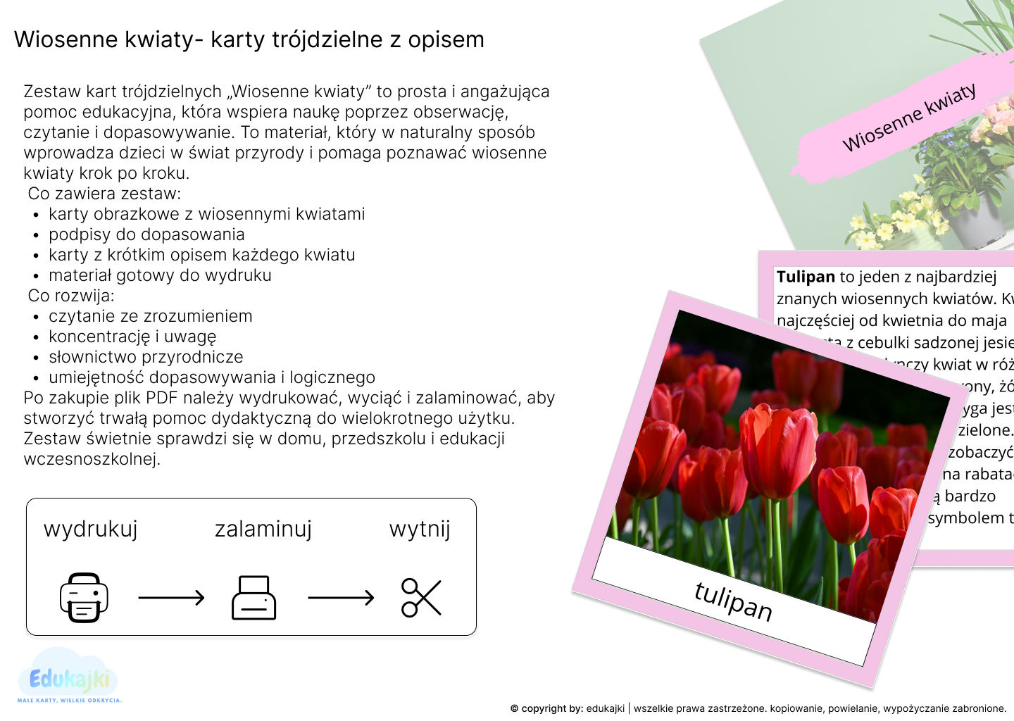 Wiosenne kwiaty- karty trójdzielne z opisem