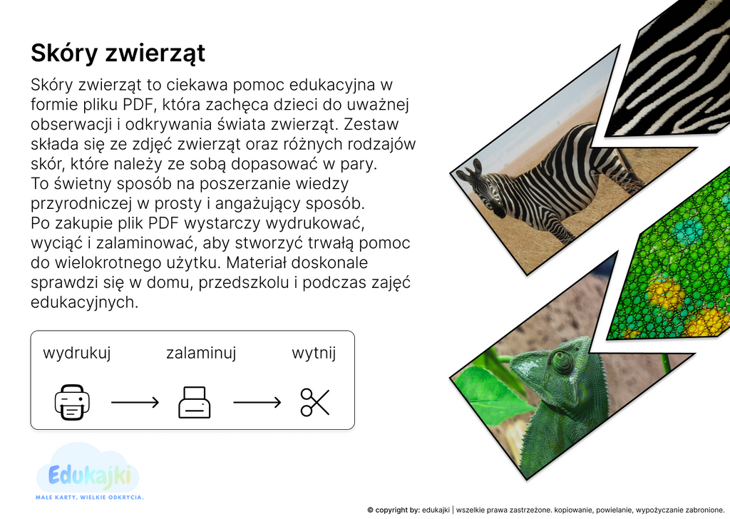 Skóry zwierząt