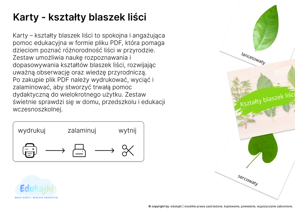 Kształty blaszek liści- karty trójdzielne