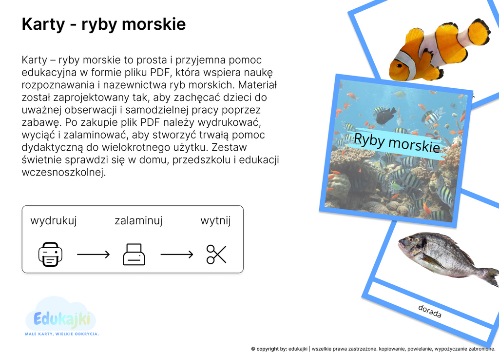 Ryby morskie