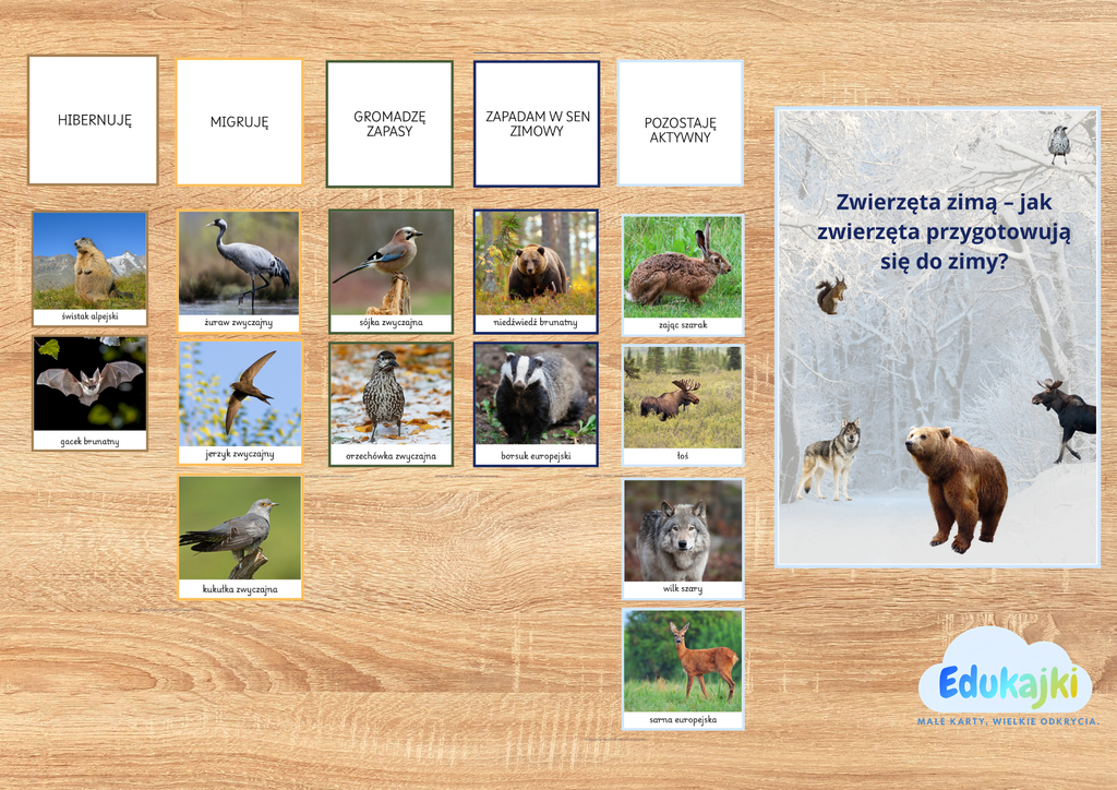 🐾 Zwierzęta zimą – jak zwierzęta przygotowują się do zimy? | PDF do druku