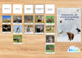 🐾 Zwierzęta zimą – jak zwierzęta przygotowują się do zimy? | PDF do druku